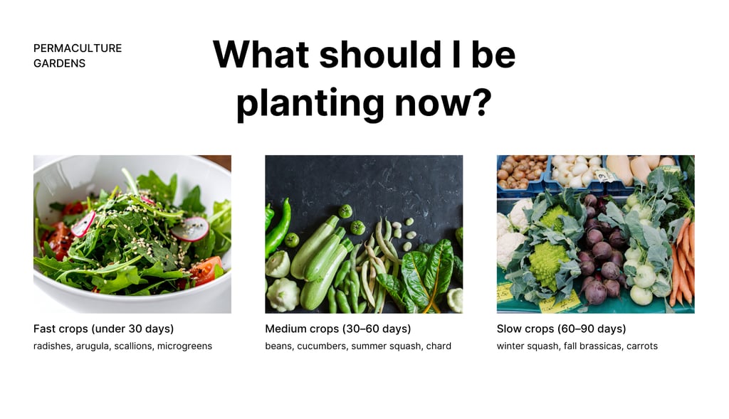fast, medium slow-growing crops