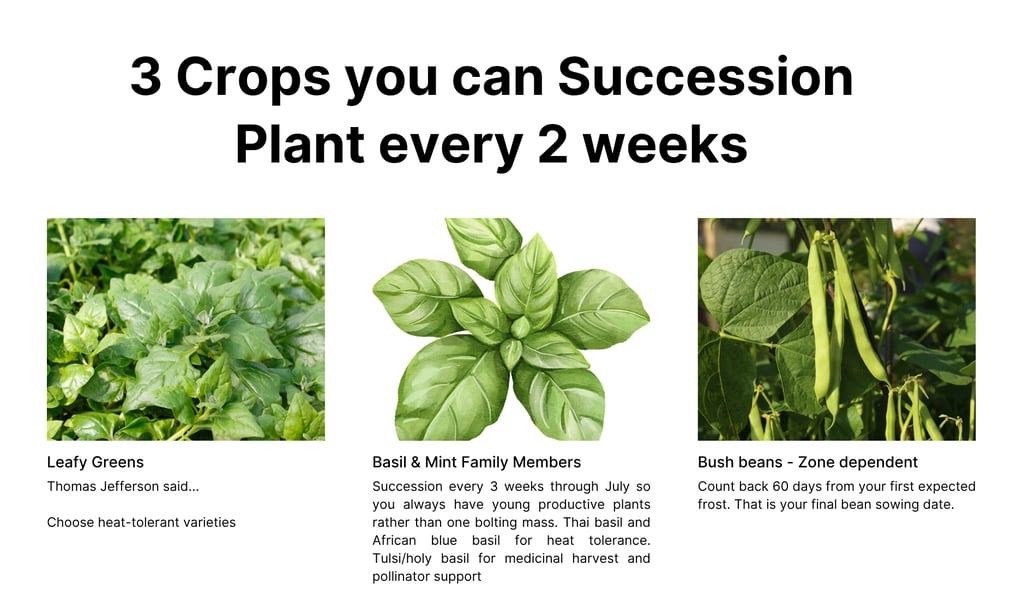 crops you can succession plant every 2 weeks