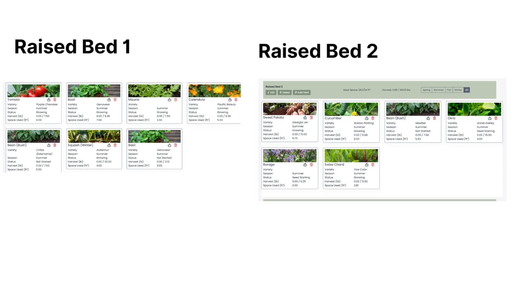 raised bed examples in sage