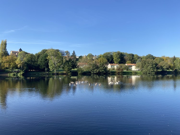 a lake with swans and swans in the foreground