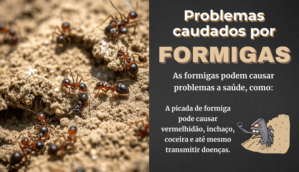 slides informativo para controle de ratos
