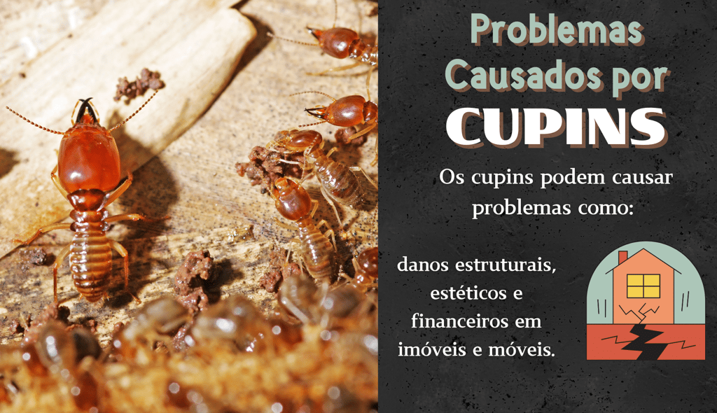 painel sobre cupins