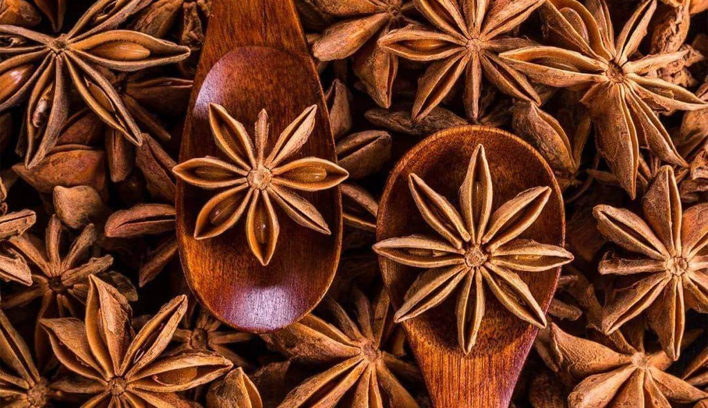 Dried whole star anise pods on wooden spoons, showcasing star-shaped culinary spices.