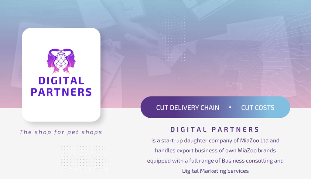 digital-partners-miazoo-portfolio-presentation-slide-2