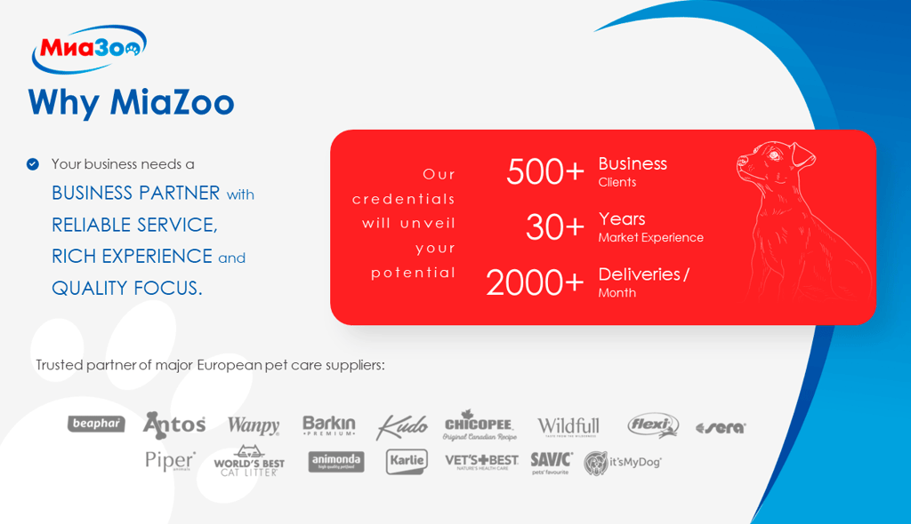 digital-partners-miazoo-portfolio-presentation-slide-3