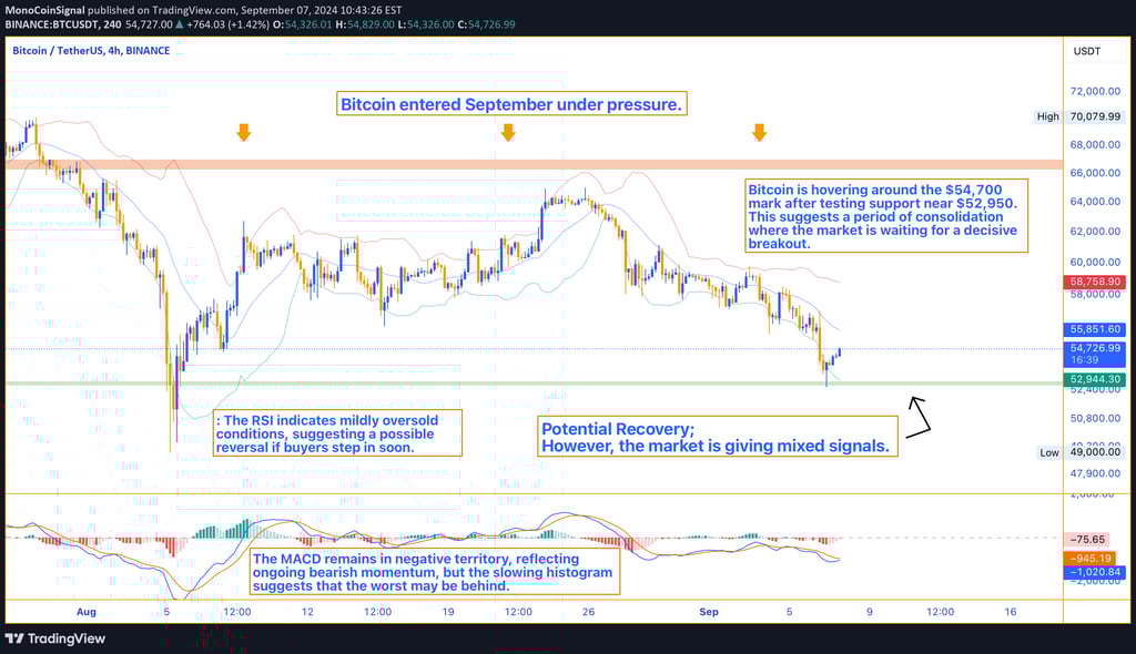 Bitcoin price chart in September 2024 shows a slight rebound around $54,700, with support at $53,000