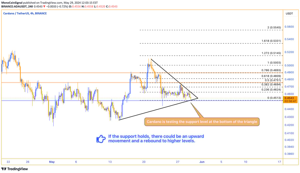 These descriptions clearly convey the critical nature of the current support level for Cardano and t