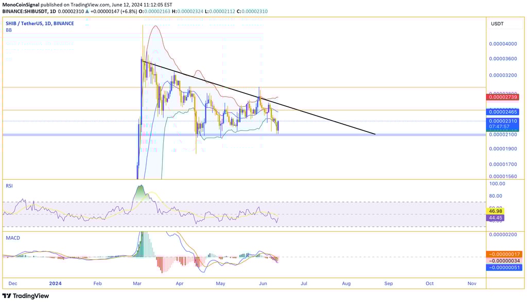 Shiba Inu (SHIB) daily chart showing positive divergence, indicating potential for significant growt
