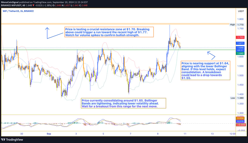 WIF price chart showing stabilization at $1.65 after a rally to $1.77, with tightening Bollinger Ban
