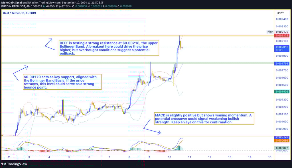 REEF price chart showing a rally to $0.00203, testing resistance at $0.00218. Overbought signals and