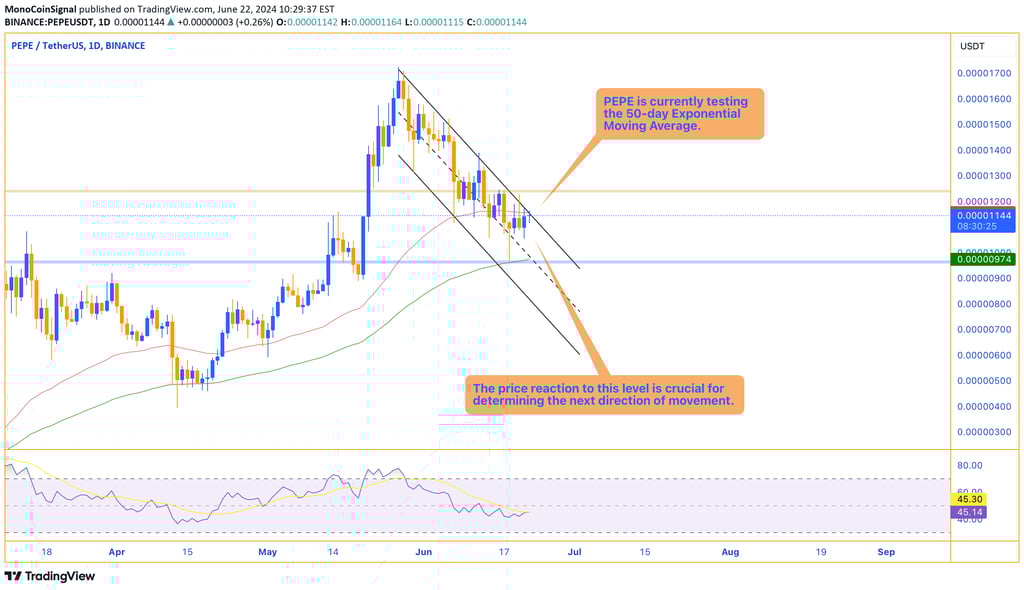 PEPE price chart showing the cryptocurrency testing the 50-day Exponential Moving Average (EMA), a c