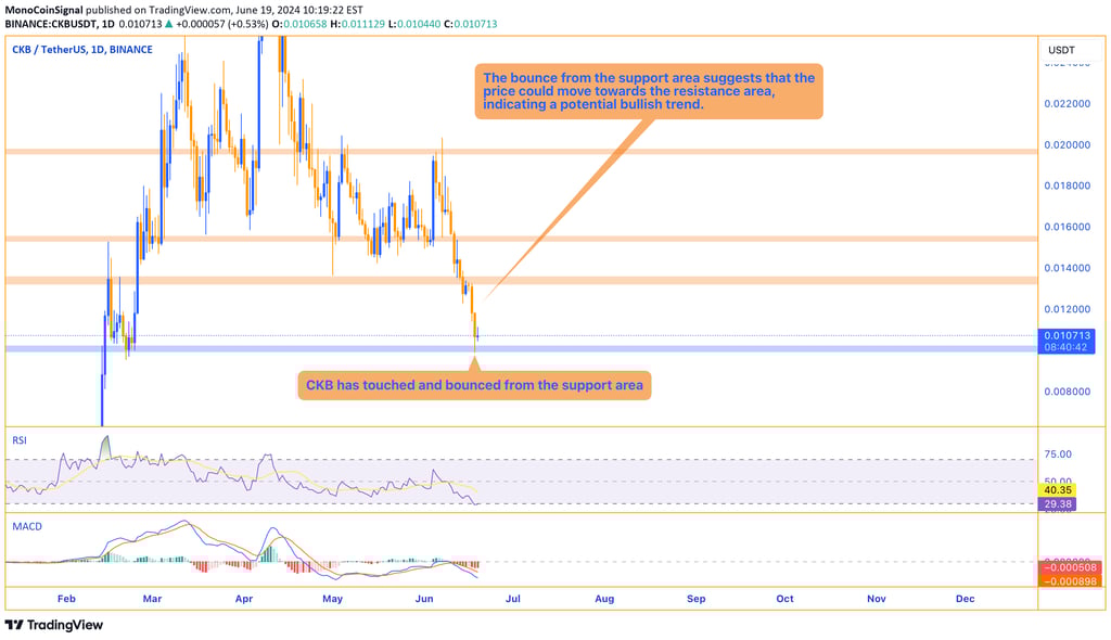 CKB price chart showing a bounce from the $0.0099 support area, indicating potential upward movement