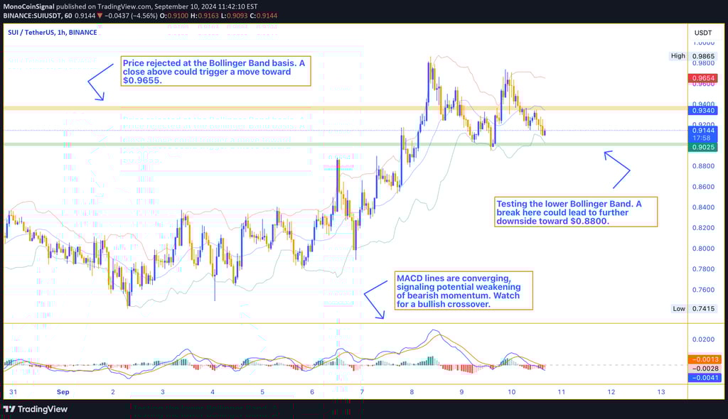 SUI price chart showing a pullback from a high of $0.9865, testing support near $0.9023 with tighten