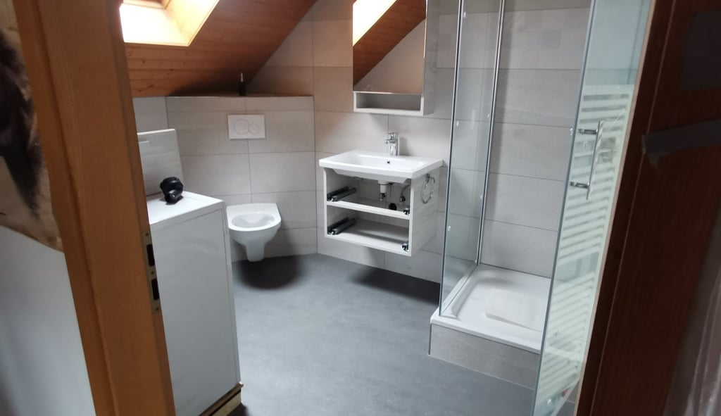 Modern attic bathroom with wood ceiling, glass shower, floating vanity, and skylight.