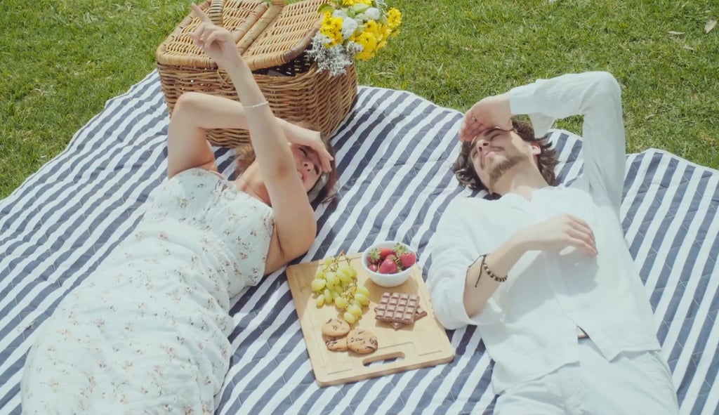 a man and woman laying on a blanket in a picnic blanket