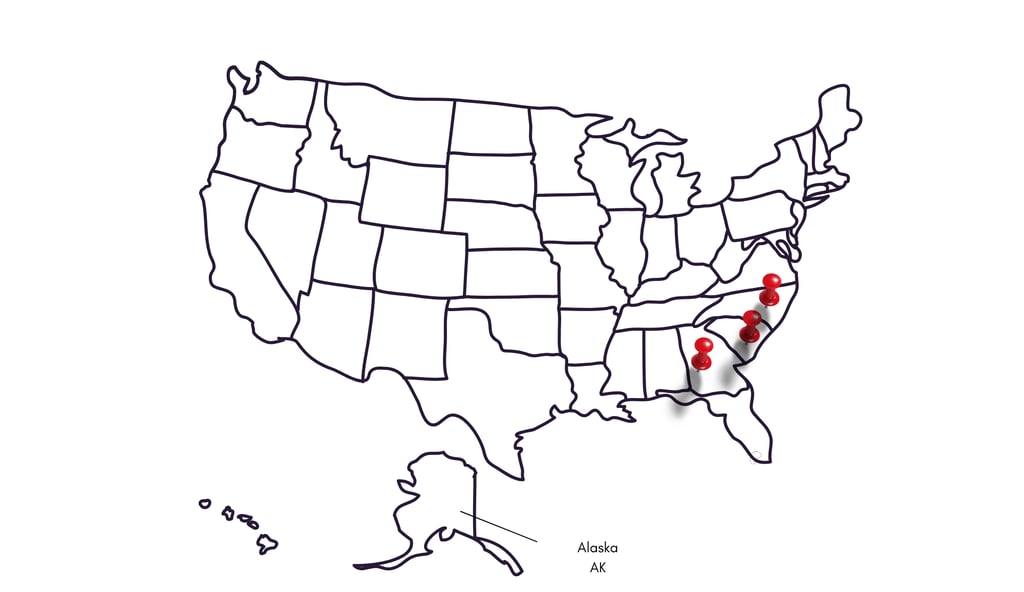 DNA Decoders DNA Paternity Testing in GA, NC and SC, Pets, Infidelity, granparents, siblings,