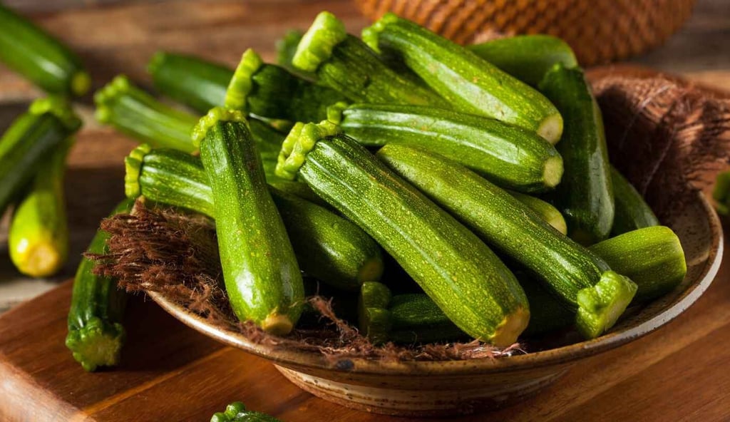 Courgette. Des conseils pour réussir la culture des courgettes au potager. 
