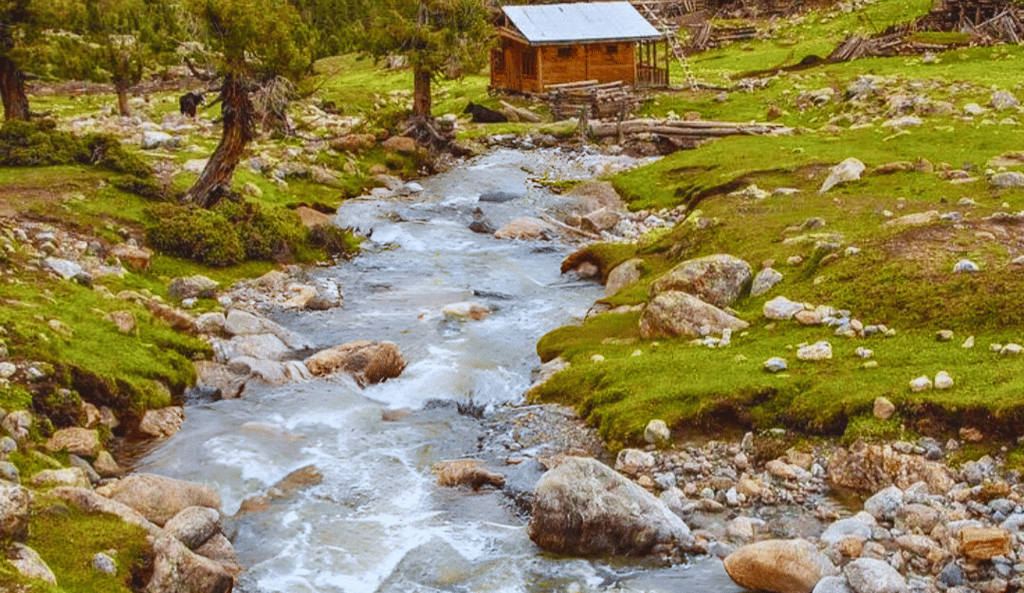 Water stream passing through fairy meadows