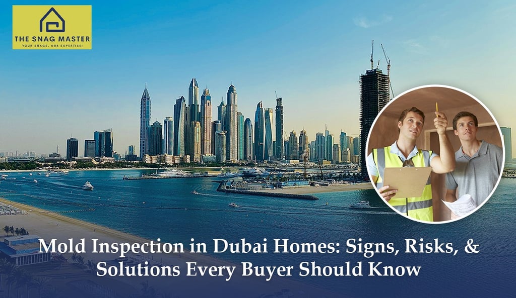 Mold Inspection in Dubai Homes |Property Snagging Company UAE