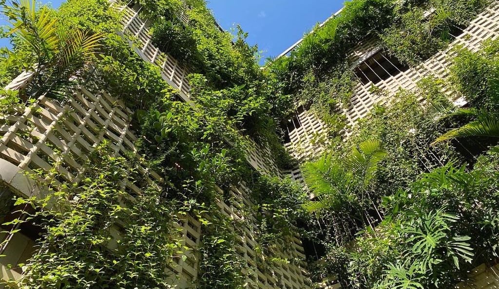 Paisagista Ricardo Cardim, que transforma áreas urbanas degradadas em pequenos oásis de vegetação.