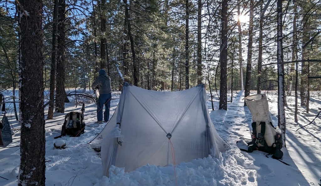 Unbound 2 backpacking tent pitched in a snowy pine forest on the North Kaibab Plateau.