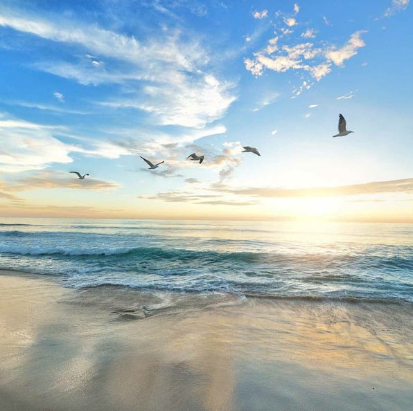 Plage et coucher de soleil, 5 oiseaux s’envolent, sensation de paix et tranquillité