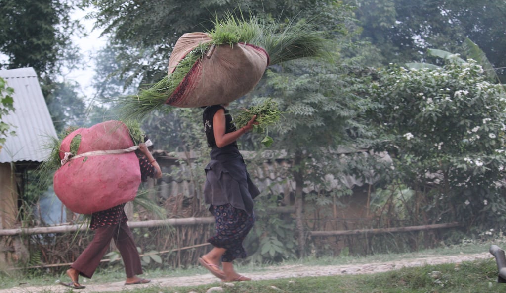 femmes revenant des champs