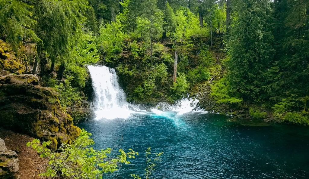 Eugene, OR - Tamolitch Falls has a dazzling blue pool