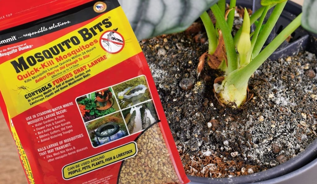 summit mosquito bits bag next to a houseplant with white mold on the soil