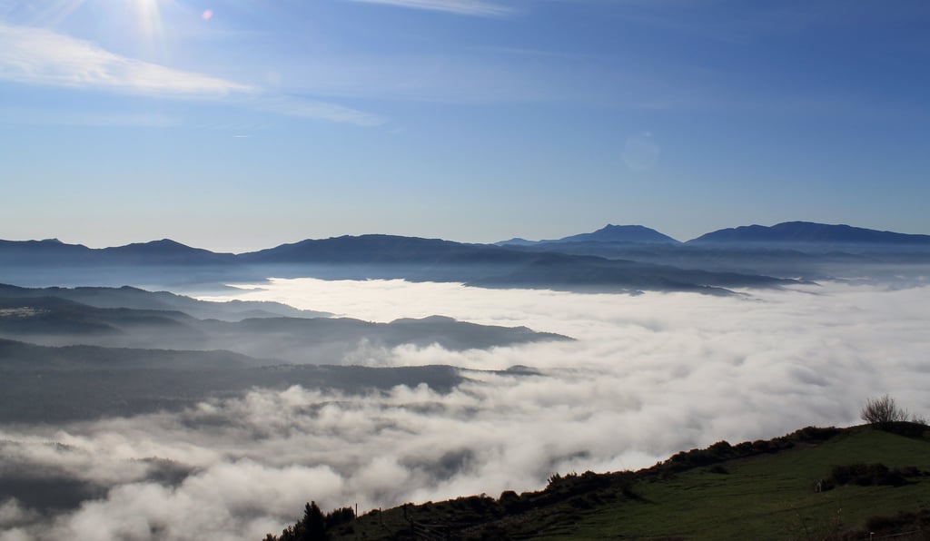 Boira, Niebla, Fog
