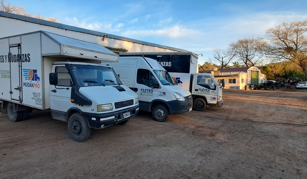 unidades mudanpro camiones