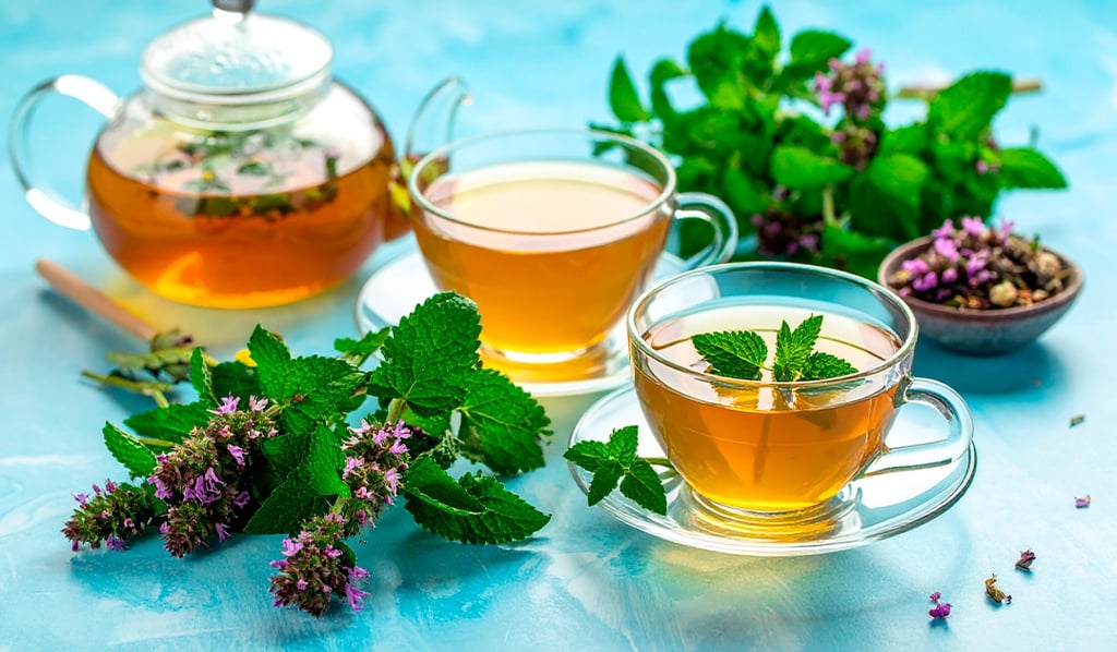 Flores y hojas de matricaria, o toronjil, junto a un té, útil para reducir el estrés y cortisol