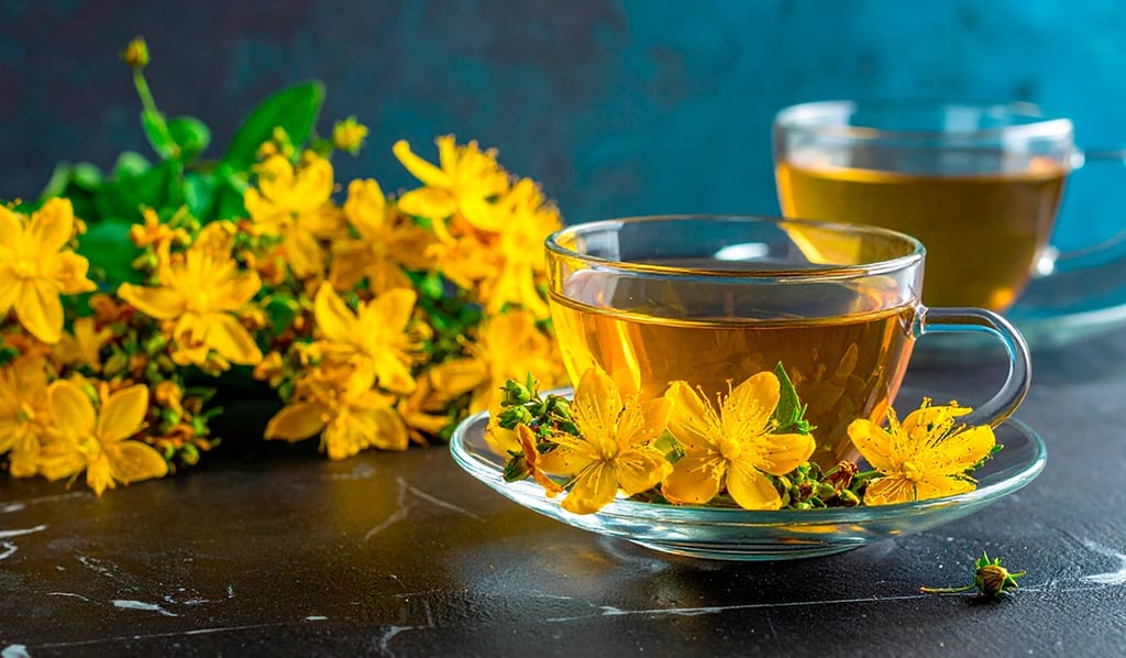 Flores de hierba de san juan junto a un té, listo para consumir y controlar el cortisol elevado
