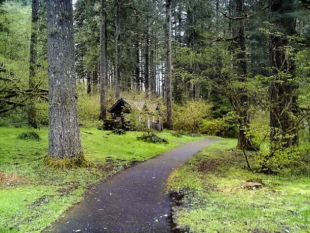 Salem, OR - Lost Home of the 7 Dwarfs at Silver Falls Fark & Aerial Trek