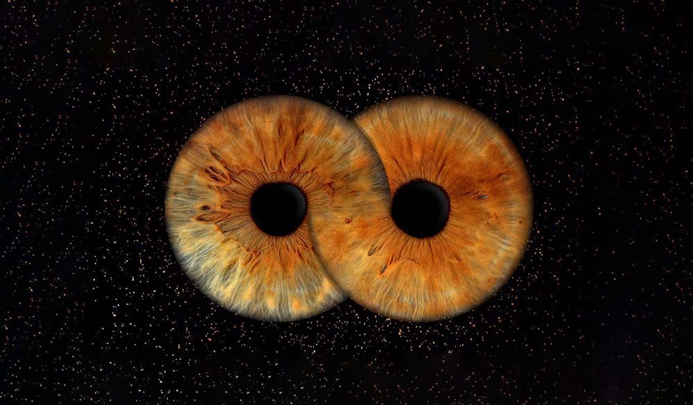 Duo Iris Yeux Marron