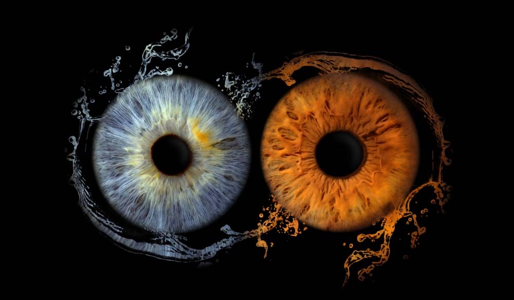 Duo Iris Yeux Marron Bleu