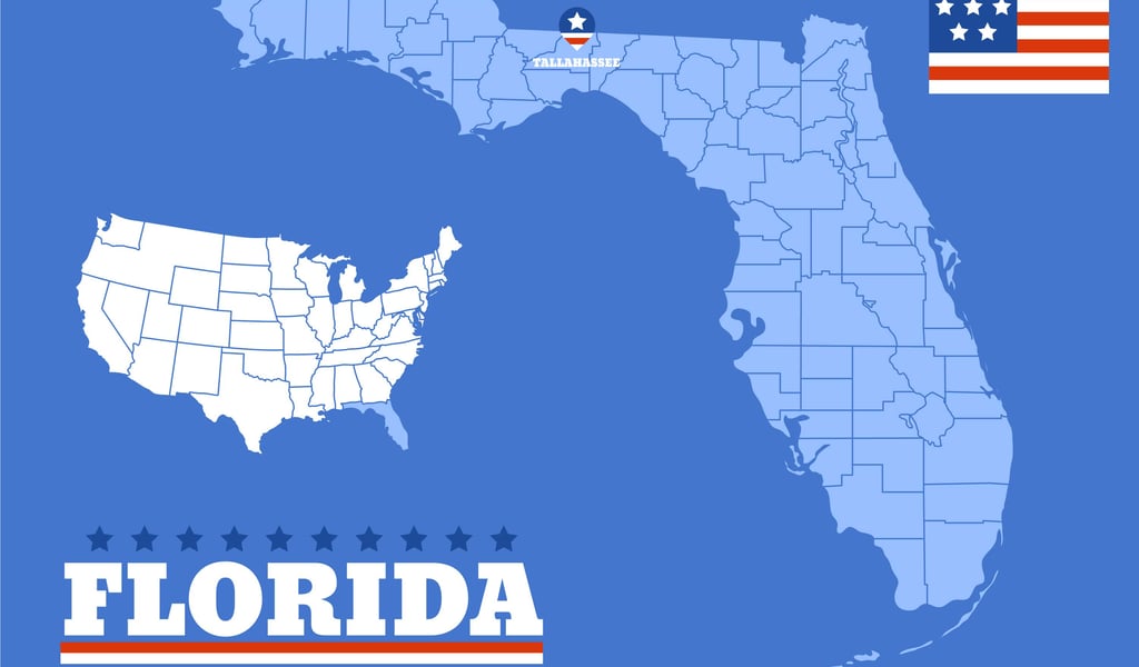 Florida Professional PPC Marketing Agencies Combine SEO and PPC for Maximum Impact
