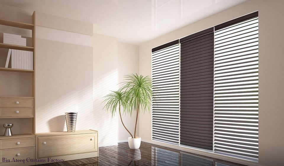 Zeebra Blinds