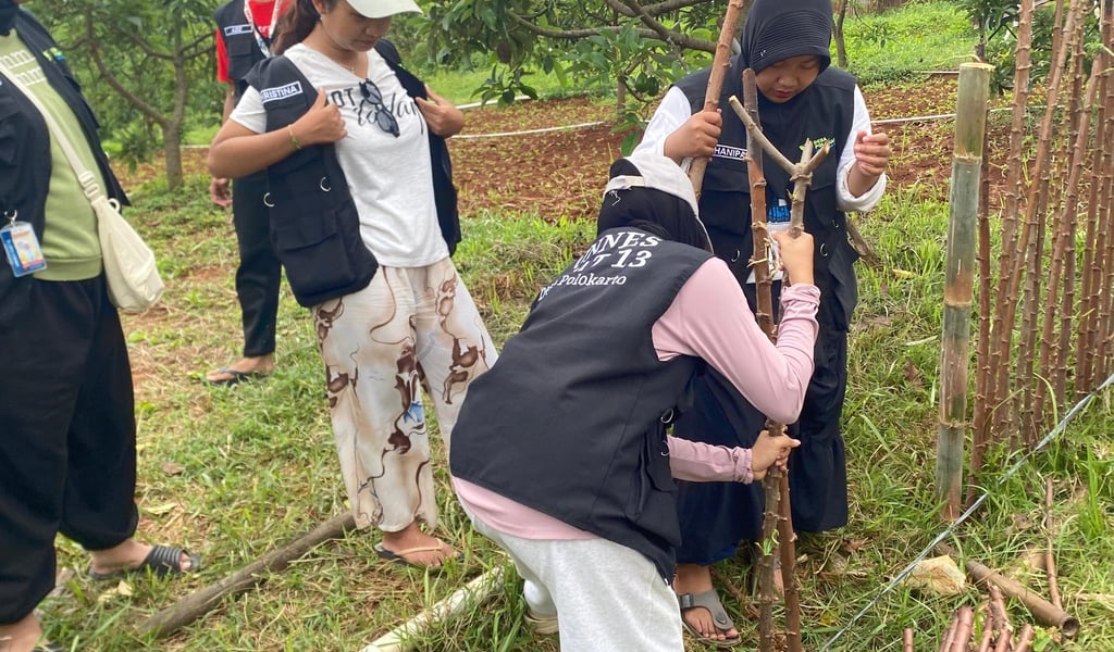 Mahasiswa GIAT 13 UNNES Desa Polokarto membantu melakukan penanaman pagar hidup