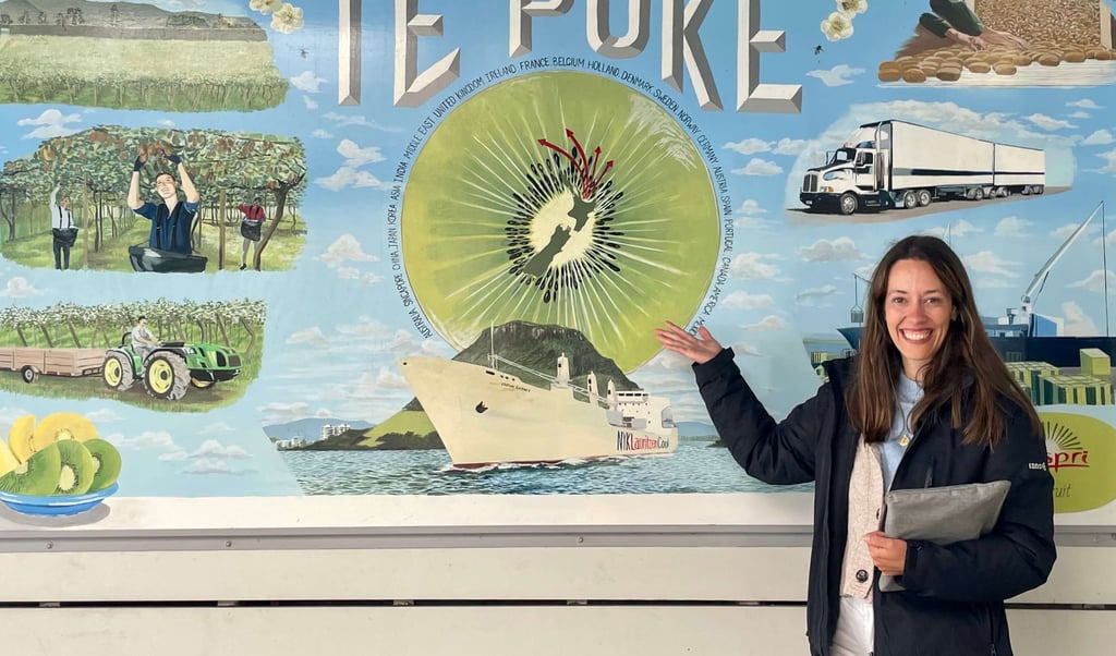 Cartel explicando las temporadas del kiwi en Te Puke, NZ