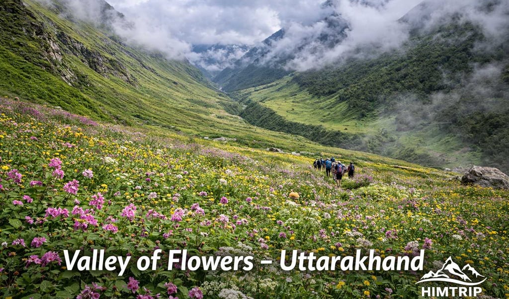 Valley of Flowers Trek - Himtrip