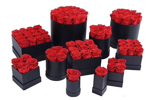 preserved rose in round box