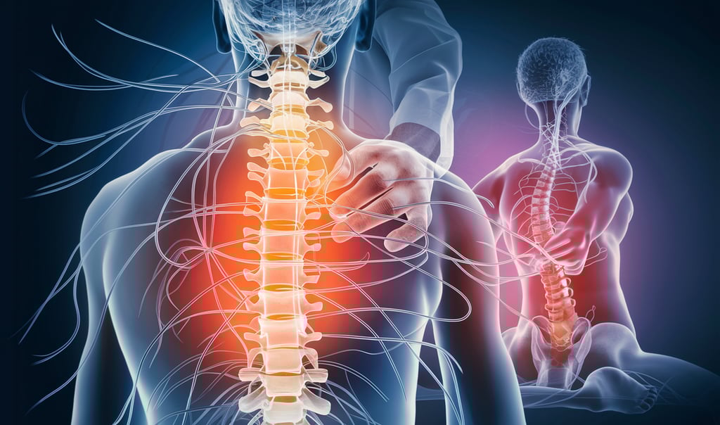 nervous system bone health