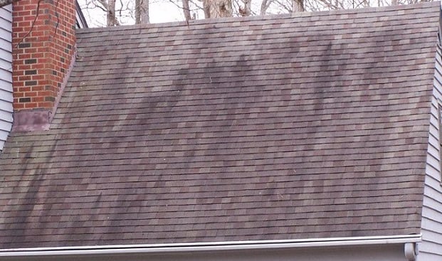 Is Gloeocapsa magma eating your roof? roof wash roof washing