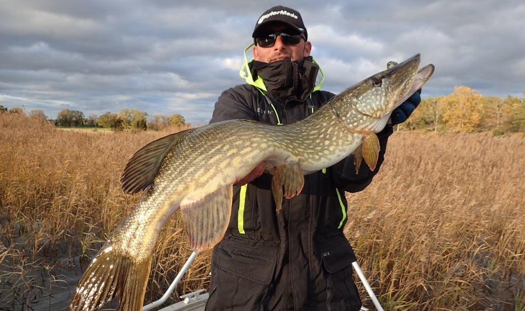 angler with big pike in sweden