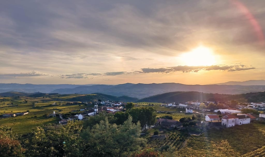 O Vale do Douro ao final da tarde, numa das épocas mais procuradas do ano.