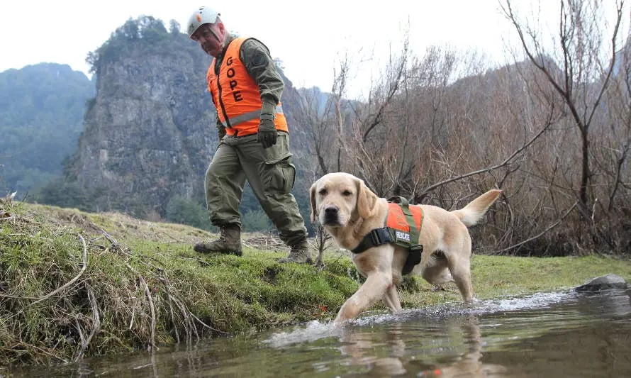 a dog is walking through the water with a man in a vest and a vest gope carabineros de chile