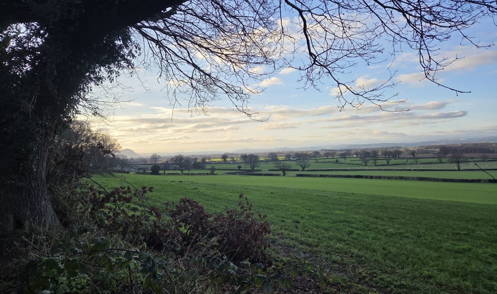 A scenic view of a lush green landscape and rolling hills under a blue sky with soft white clouds.