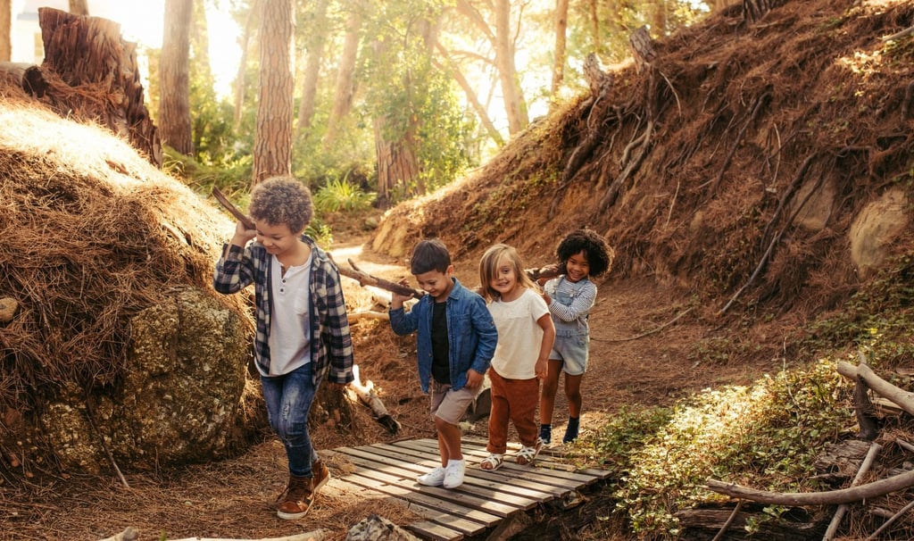 Sodelovalne igre - gozdni vrtec