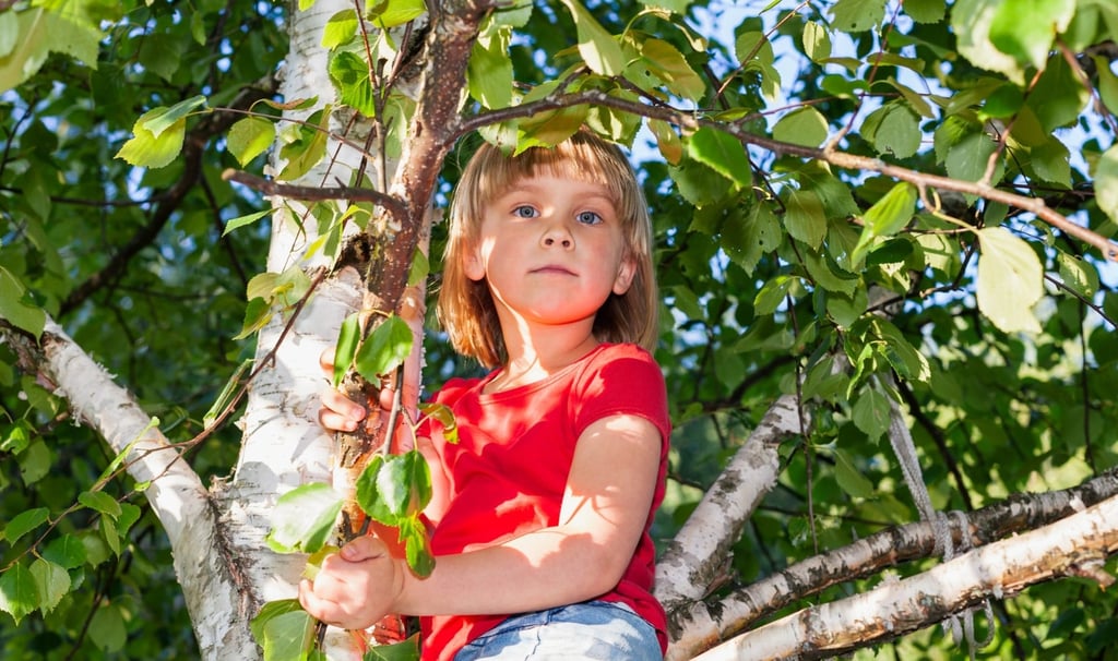 Gozdni vrtec in tvegana igra